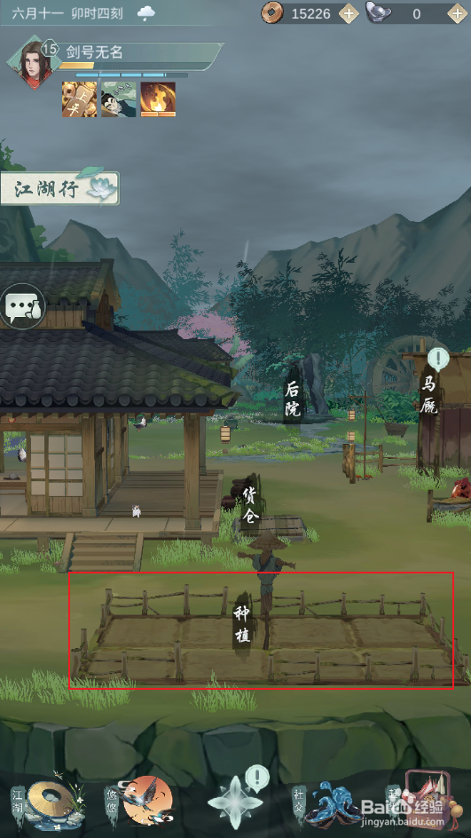 白露种植什么蔬菜最好