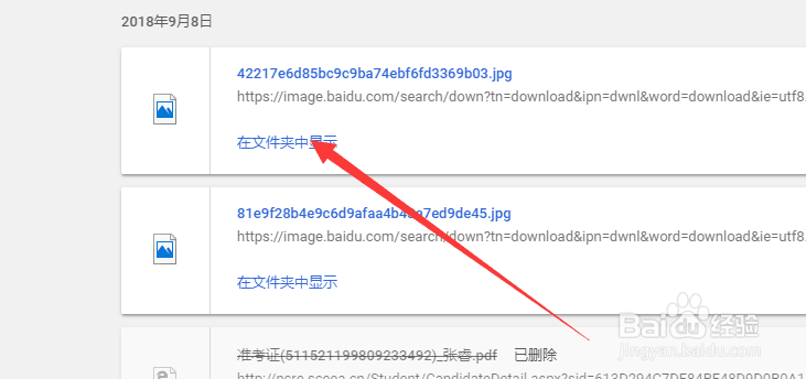 谷歌chrome浏览器怎么看下载的文件