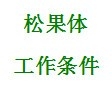 开灯睡觉的危害性