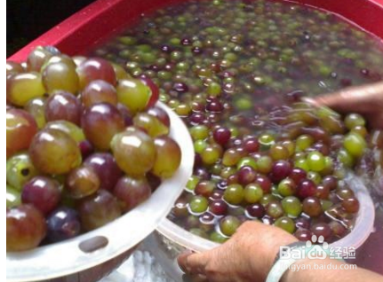 水果饮品怎么做好喝