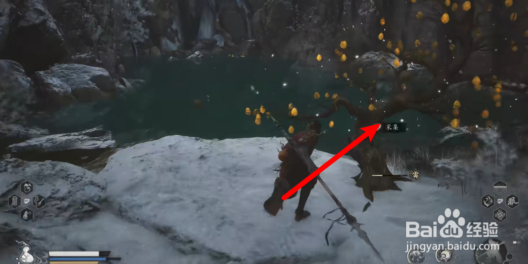 黑神话悟空怎么获得交梨种子