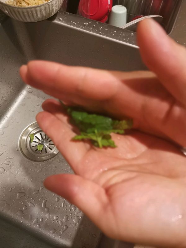 冰爽薄荷苏打水
