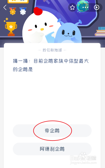 目前企鹅家族中体型最大的企鹅是？