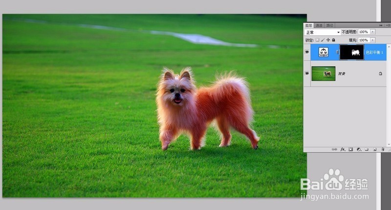 新手入门教程：必学的Photoshop技巧