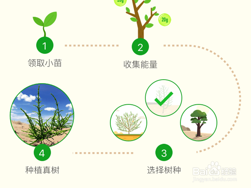 蚂蚁森林如何快速获取能量