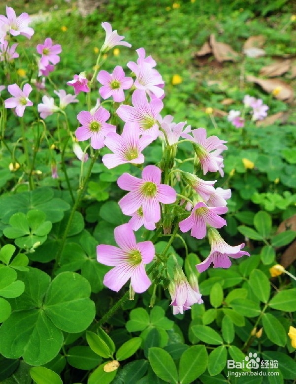 年轻人需做的10件事