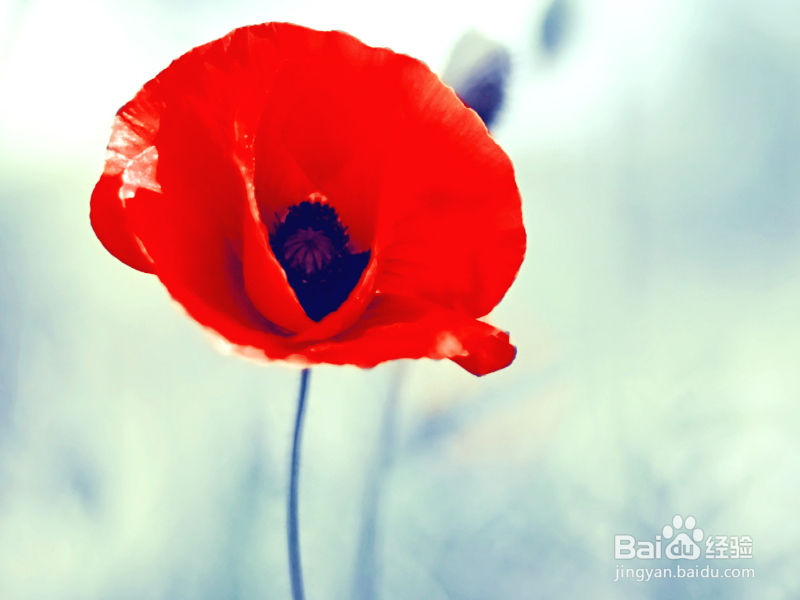 怎么追求暗恋的女孩子