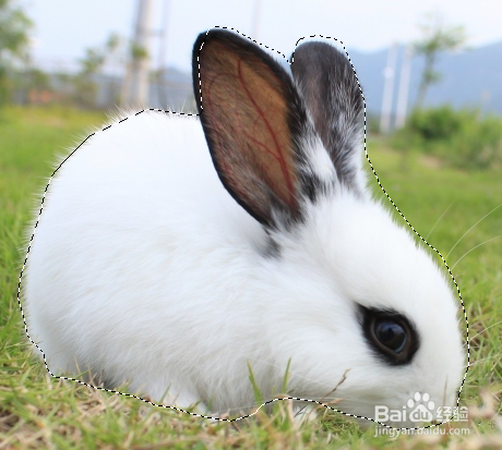 使用PS如何选定各种选区