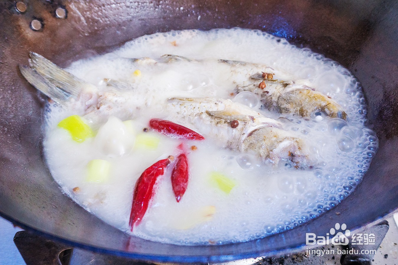 侧鱼煲什么汤好