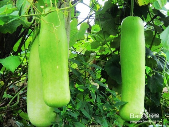 9种高血压饮食吃法