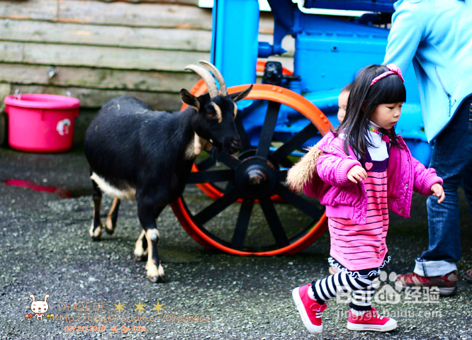 拾海的孩子&亲亲小动物(组图)