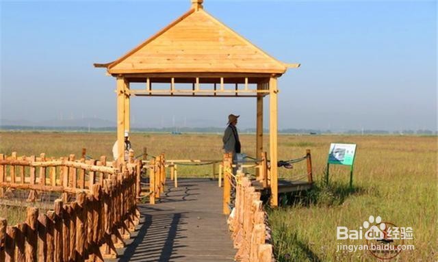 五花草甸风景区旅游怎么样