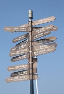 生物实验报告怎么写