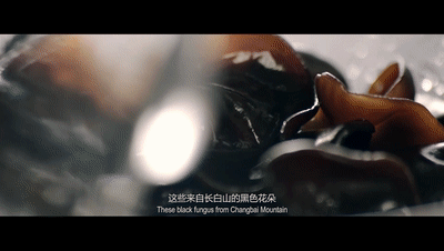 黑木耳和银耳到底有什么区别?