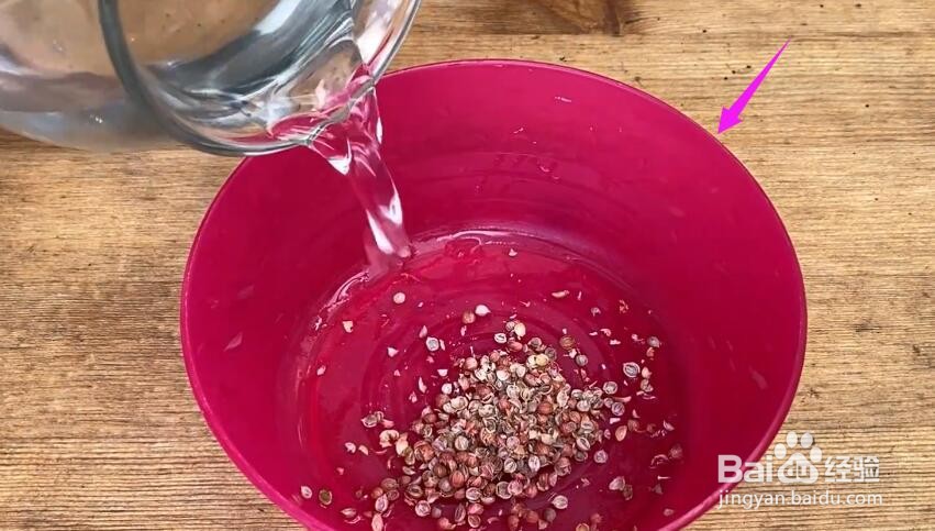 种香菜种子怎么处理#校园分享#