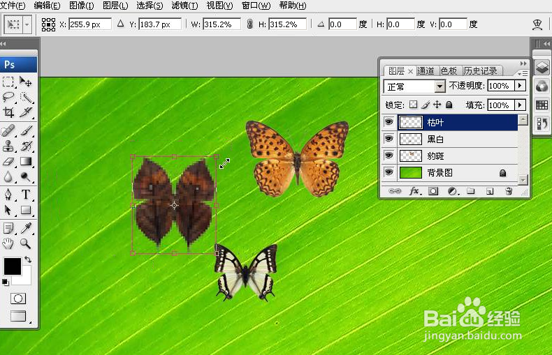 PhotoShop无损放大或缩小图片