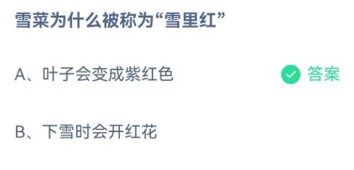 雪菜为什么叫雪里红蚂蚁庄园12.26答案