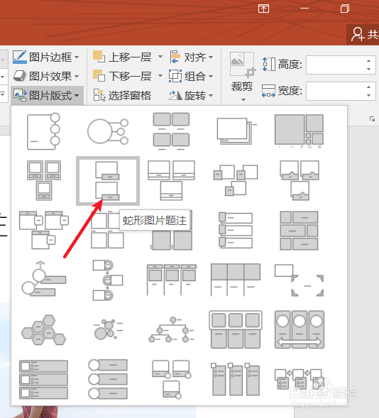 ppt中如何给图片添加“蛇形图片题注”版式