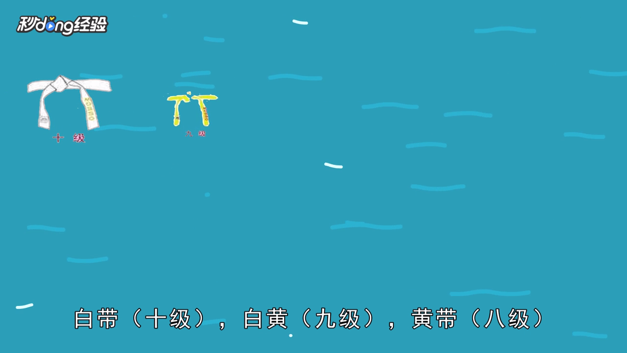 跆拳道腰带怎么分等级