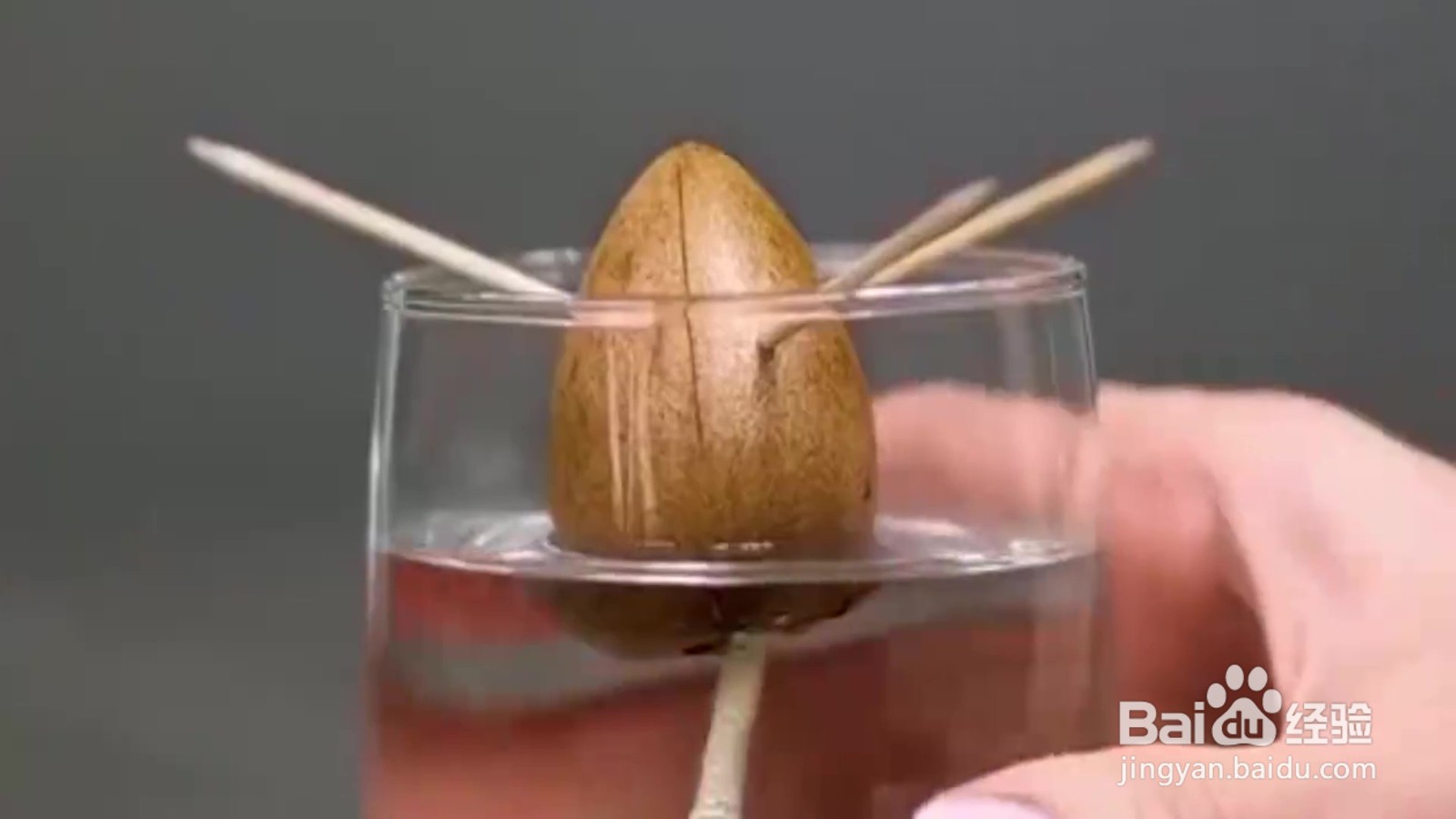 教你种植小妙招