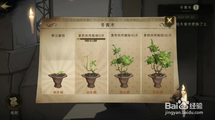 哈利波特魔法觉醒冬青木盆栽在哪