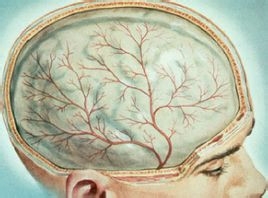 数字化神经元调控修复体系