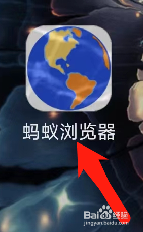 蚂蚁浏览器进入会员