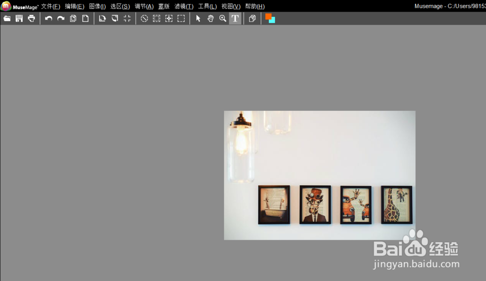 musemage如何启用实时刷新直方图