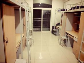 如何排遣初入大学的苦闷心情？？？