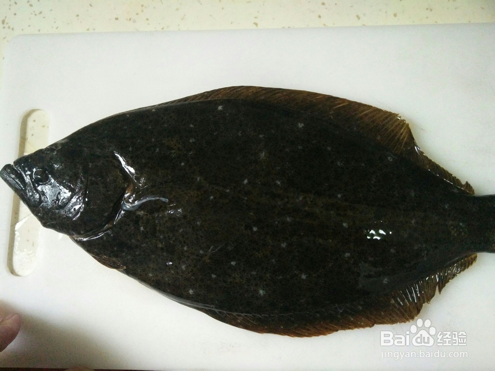 清蒸鸦片鱼的做法