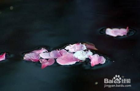 人性中容易被忽视的缺陷