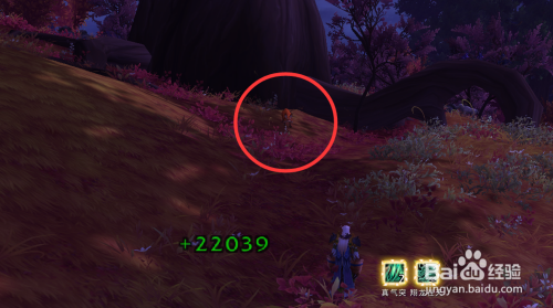 魔兽世界狡猾的沃平任务狡狐沃平的位置在哪儿