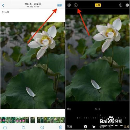 苹果手机拍照时如何调节虚化强度