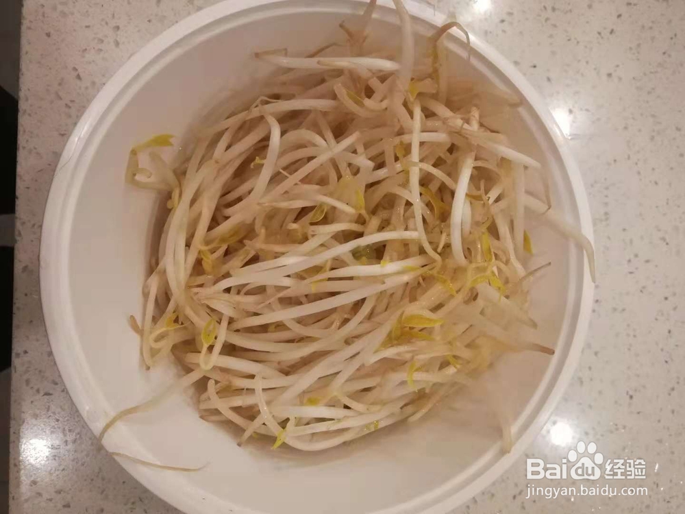单身狗版醋溜豆芽