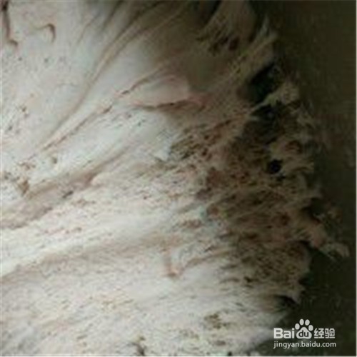 怎么做出白!香!软!甜!筋道的白馒头