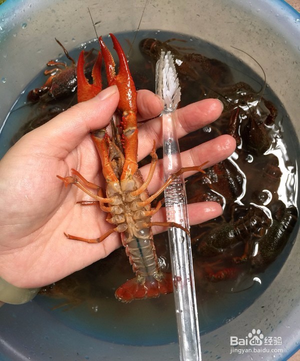 怎么做麻辣小龙虾