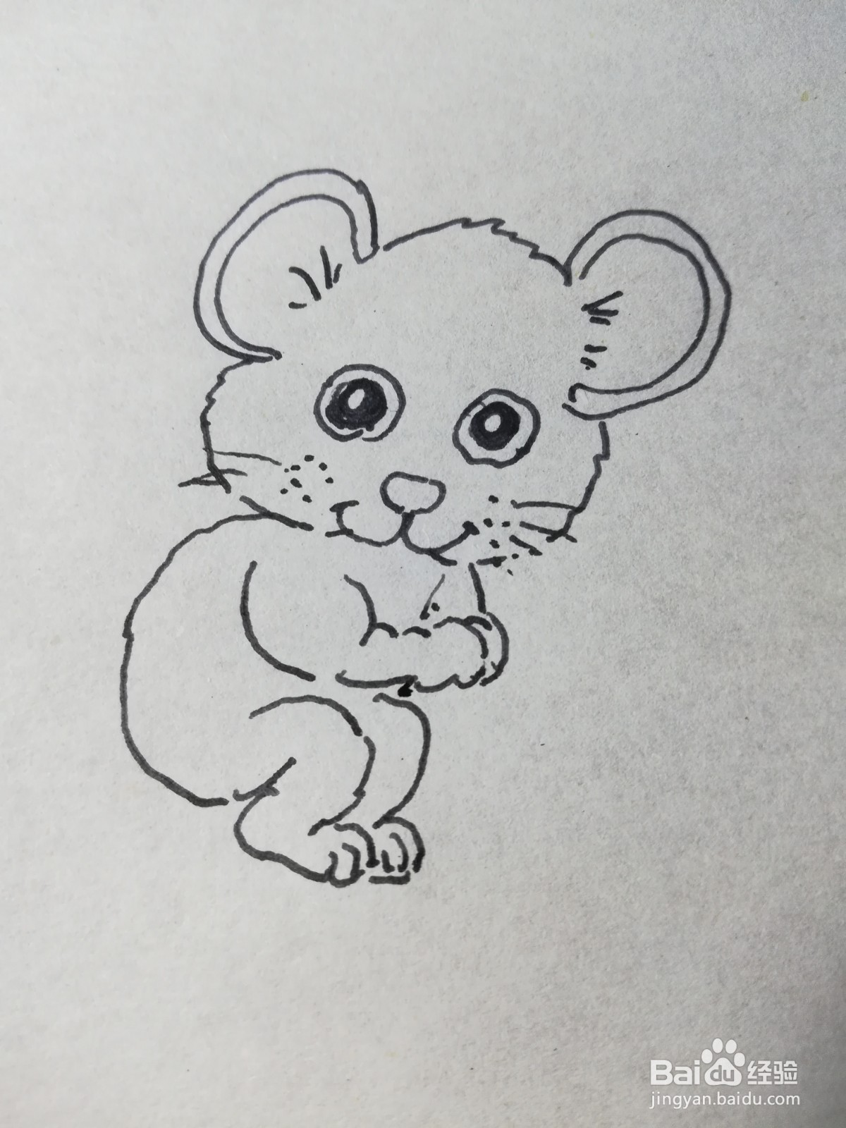 怎么画大头鼠简笔画
