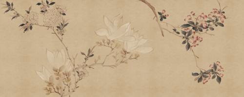 如何清理墙壁上的污垢