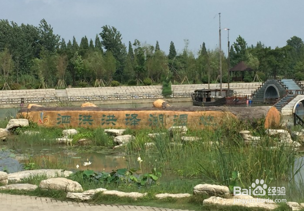 自驾洪泽湖观荷花