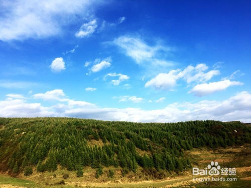 白石咀牧场旅游攻略