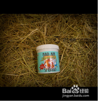 盘点室内异味去除妙招