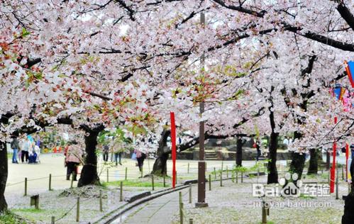 <b>日本留学——申请日本大专院校经验指南</b>