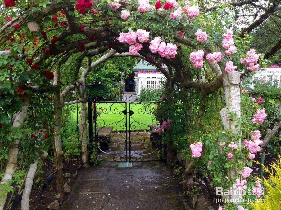 抑郁的时候应该做些什么才好?