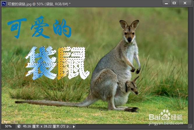 PS中的文字和路径