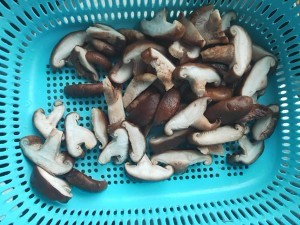 蚝油香菇的做法