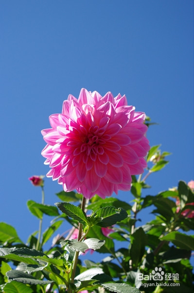 北京旅游攻略：[5]