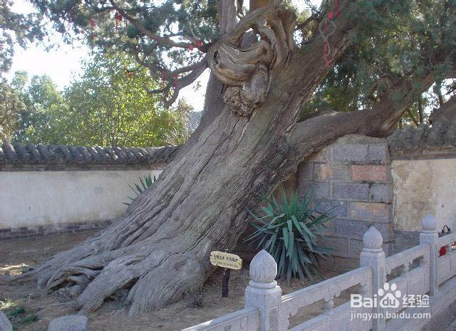 五岳之美，美于内在（下）