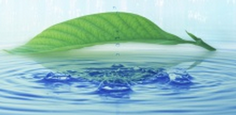 舌苔发黄口臭怎么办