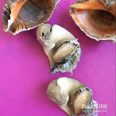黄瓜拌海螺的做法