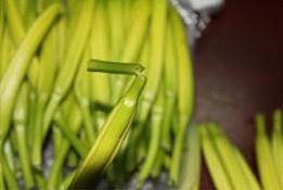 教你怎么做小炒木耳黄花菜